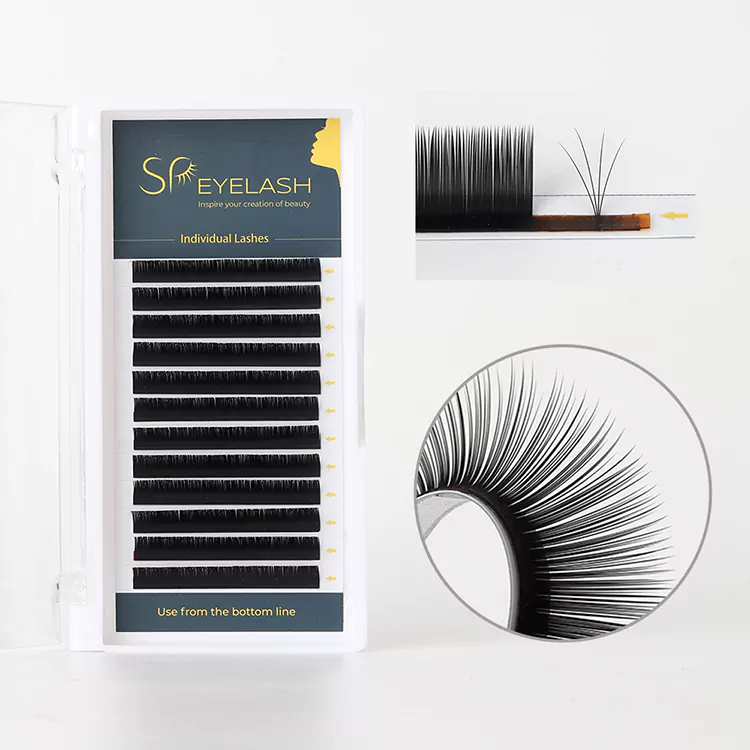Extensiones de las pestañas de Camellia